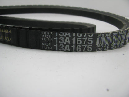 Dayco 13A1675 Accessory Drive Belt - 0.53'' X 66.50'' - 36 Degree