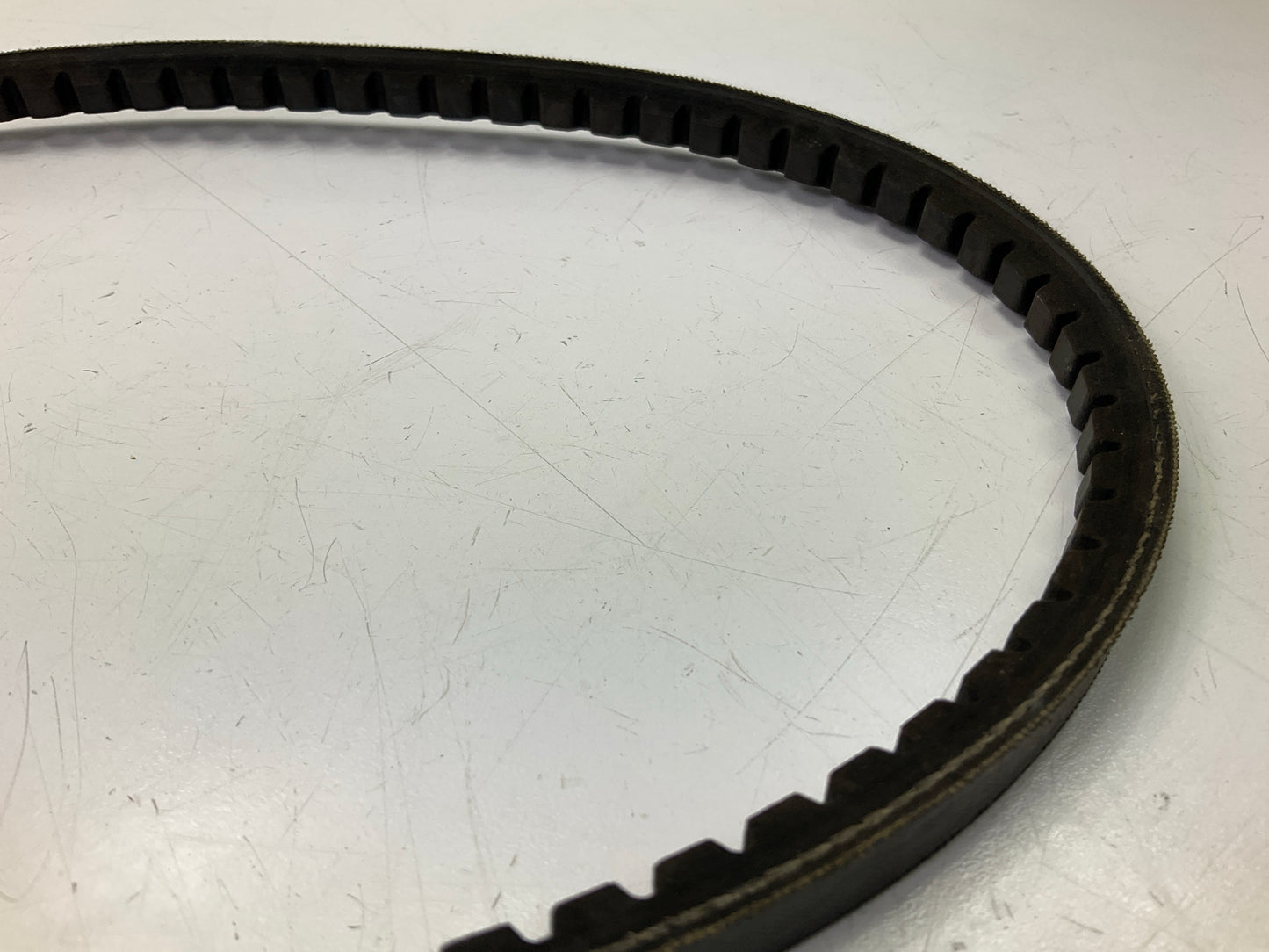 Dayco 15360 Accessory Drive Belt - 0.375'' X 36.625'' - 36 Degree