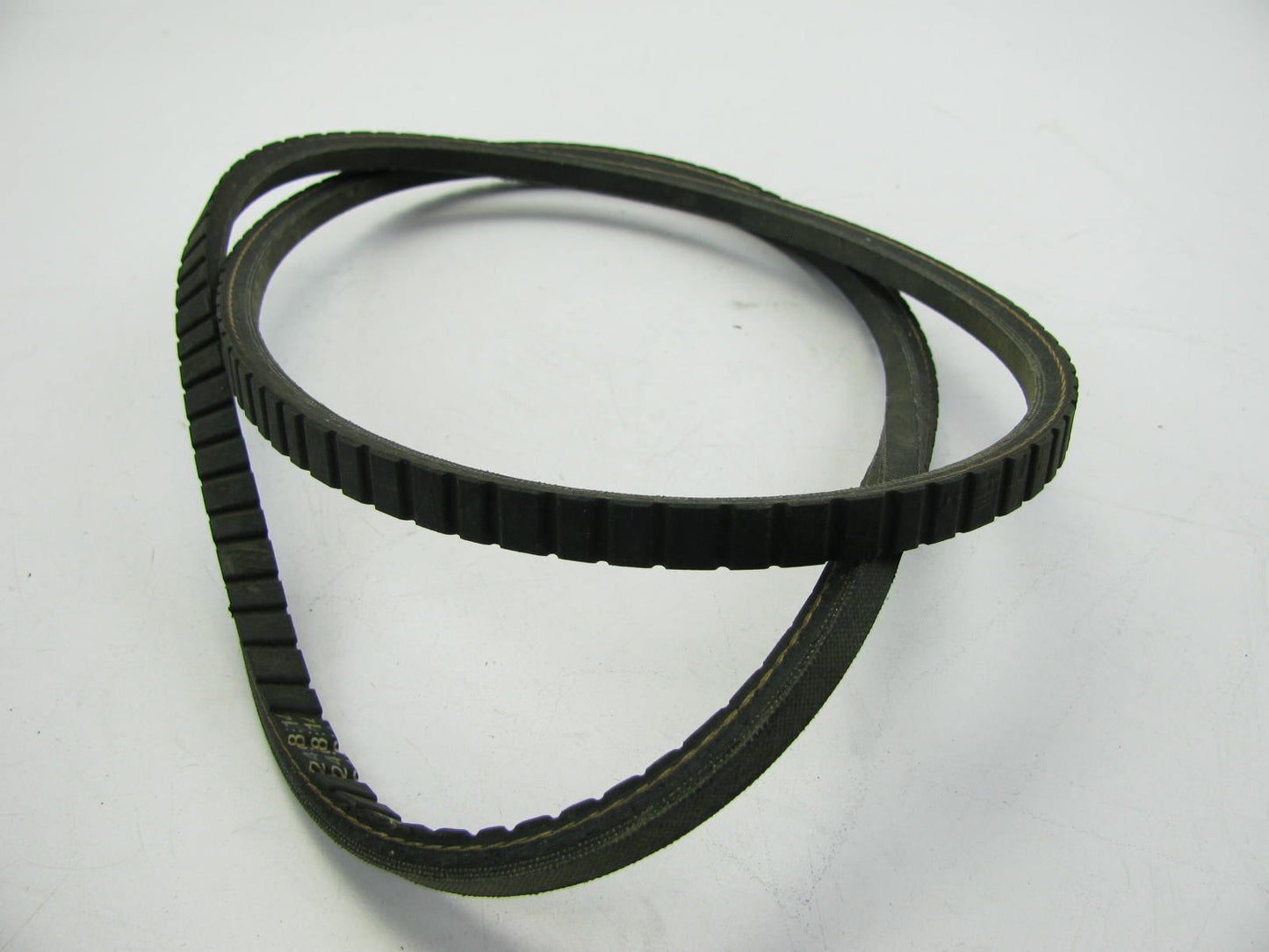 Dayco 15500 Accessory Drive Belt - 0.44'' X 50'' - 36 Degree