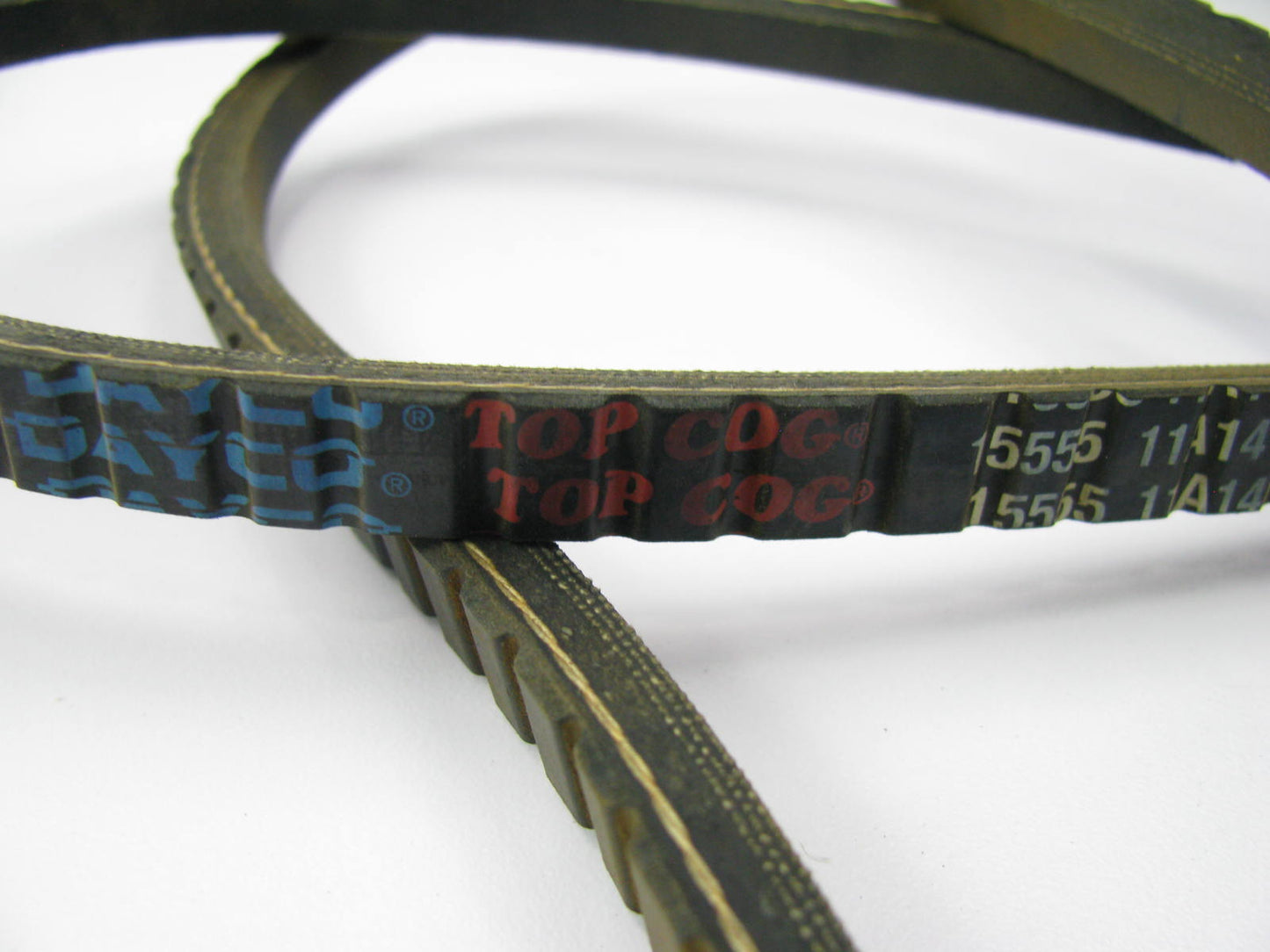Dayco 15555 Accessory Drive Belt - 0.44'' X 55.50'' - 36 Degree