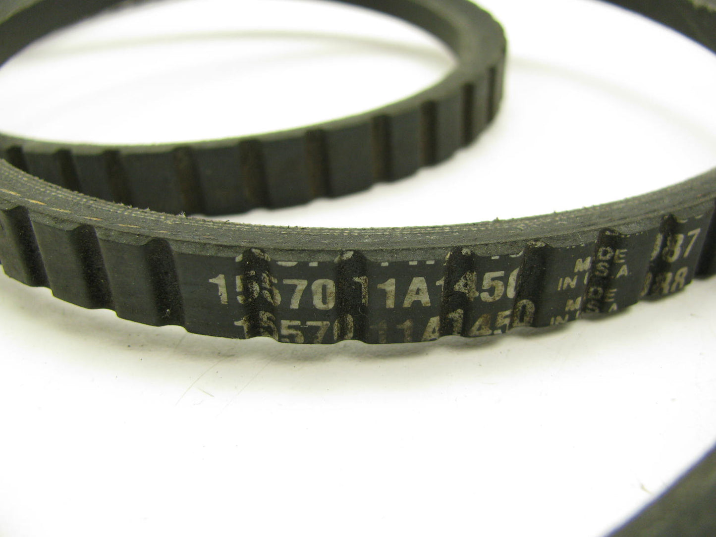Dayco 15570 Accessory Drive Belt