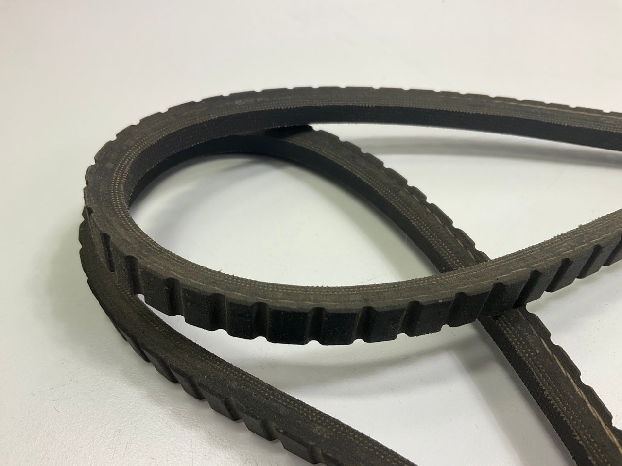 Dayco 15585 Accessory Drive Belt - 0.44'' X 58.50'' - 36 Degree