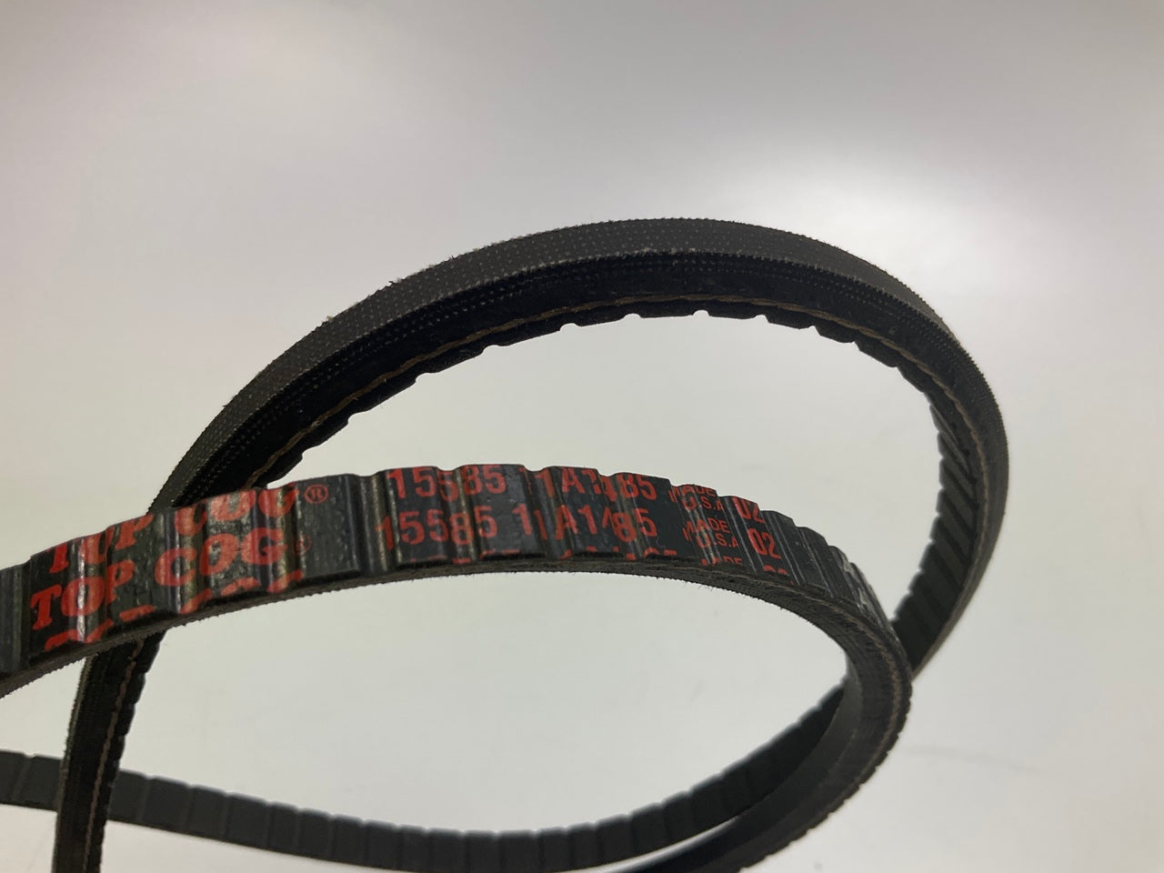 Dayco 15585 Accessory Drive Belt - 0.44'' X 58.50'' - 36 Degree