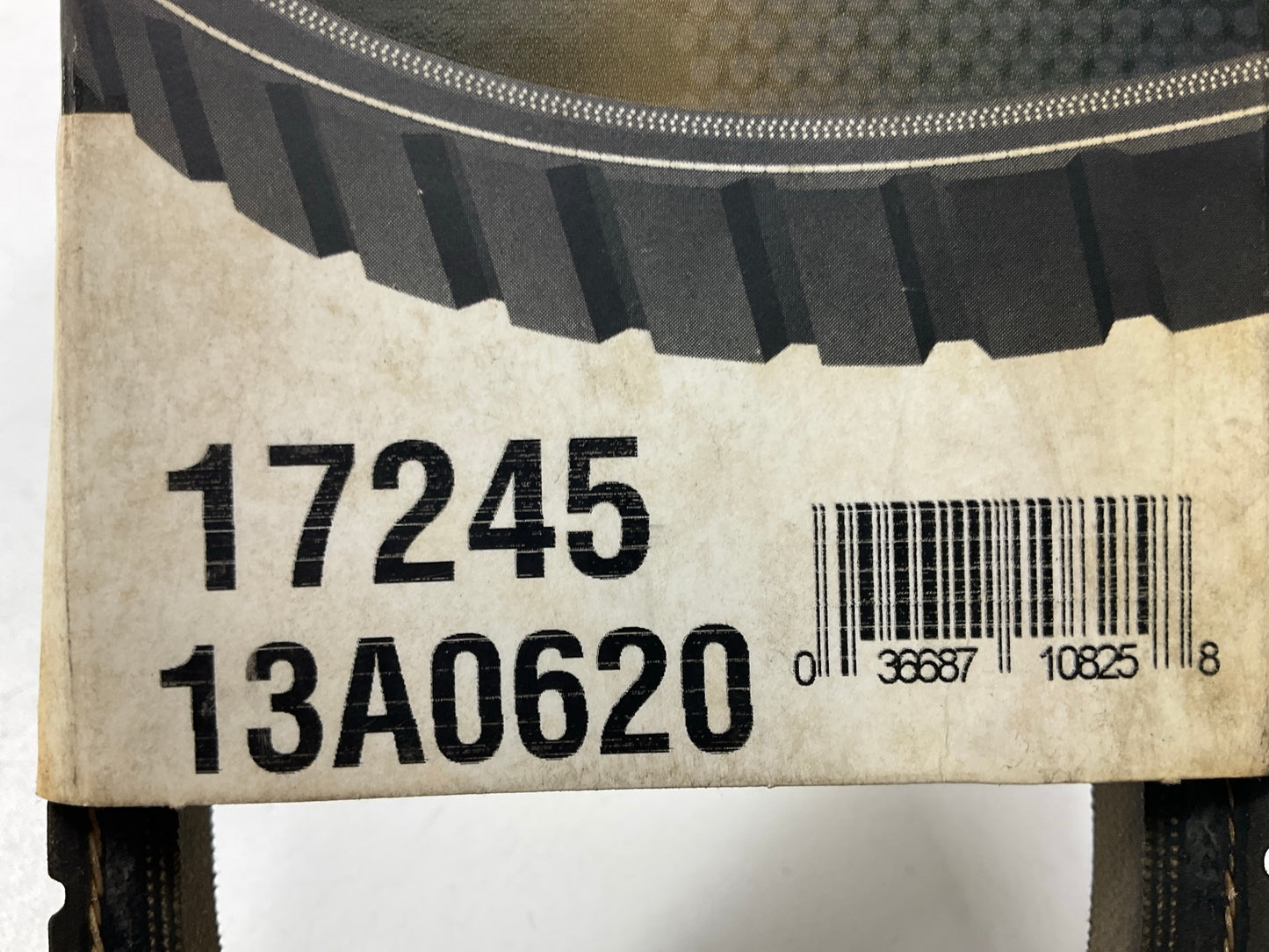 Dayco 17245 Accessory Drive Belt - 0.53'' X 24.50'' - 36 Degree