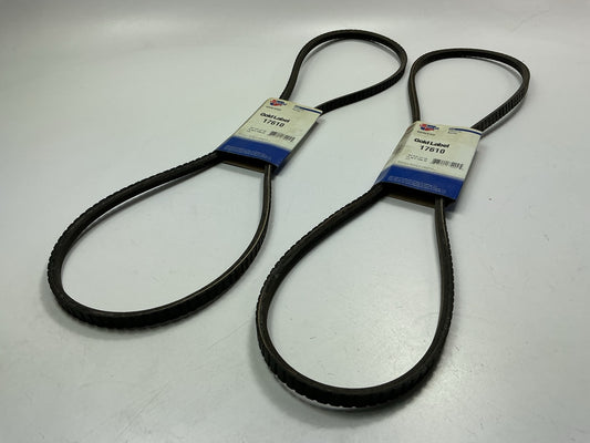 (2) Dayco 17610 Accessory Drive Belts