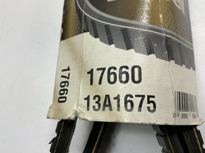 Dayco 17660 Accessory Drive Belt - 0.53'' X 66.00'' - 36 Degree