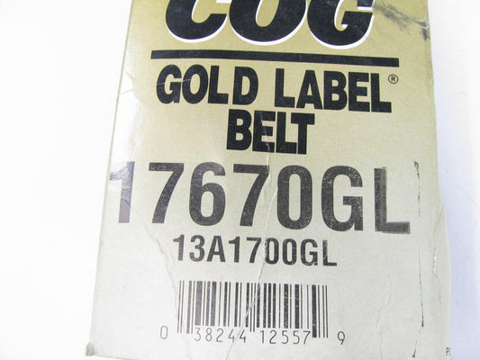 Dayco 17670GL Accessory Drive Belt - 0.53'' X 67.00'' - 36 Degree
