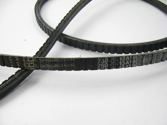 Dayco 17750 Accessory Drive Belt - 0.53'' X 75.00'' - 36 Degree