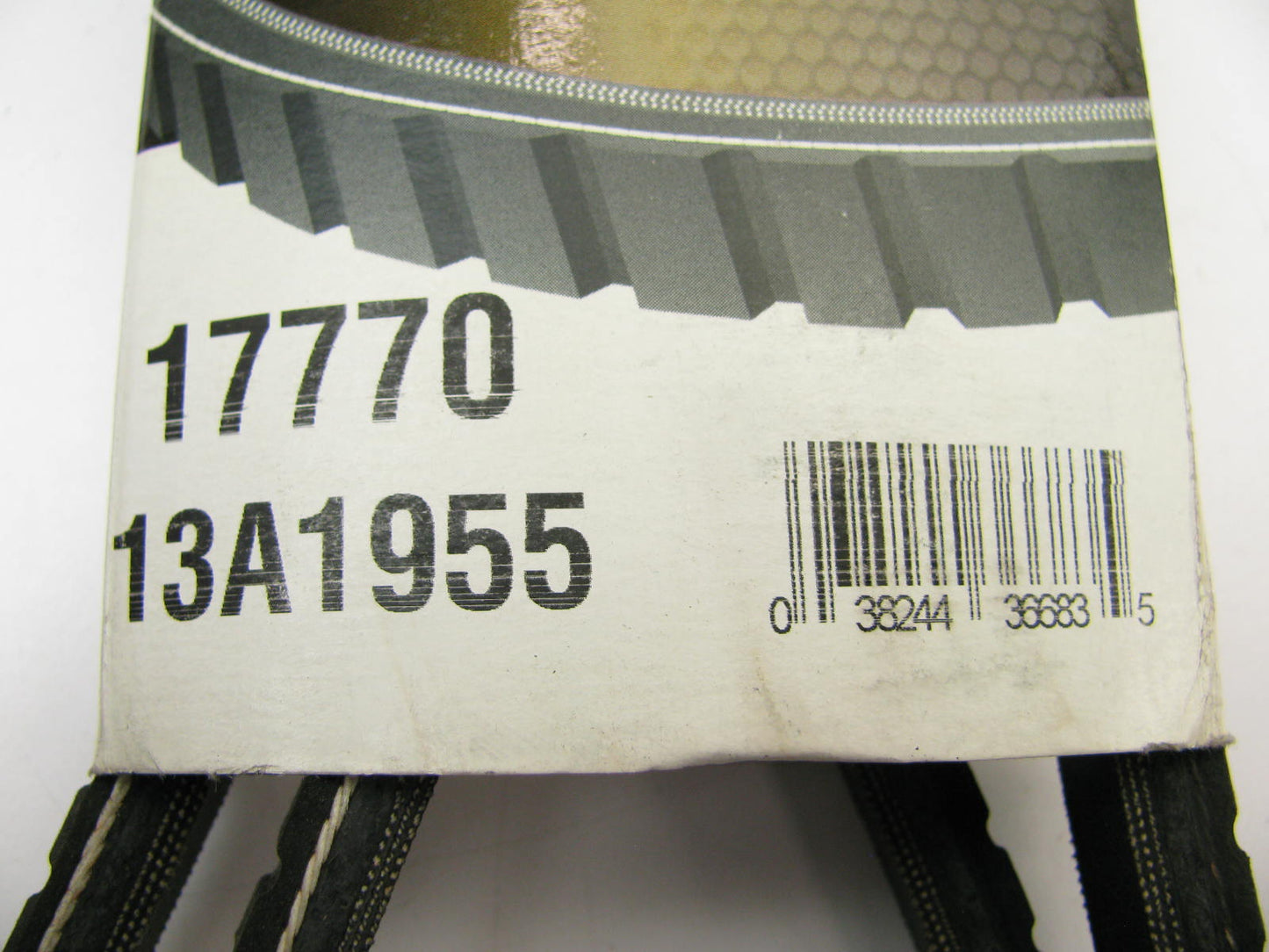 Dayco 17770 Accessory Drive Belt - 1/2'' X 77.00'' - 36 Degree