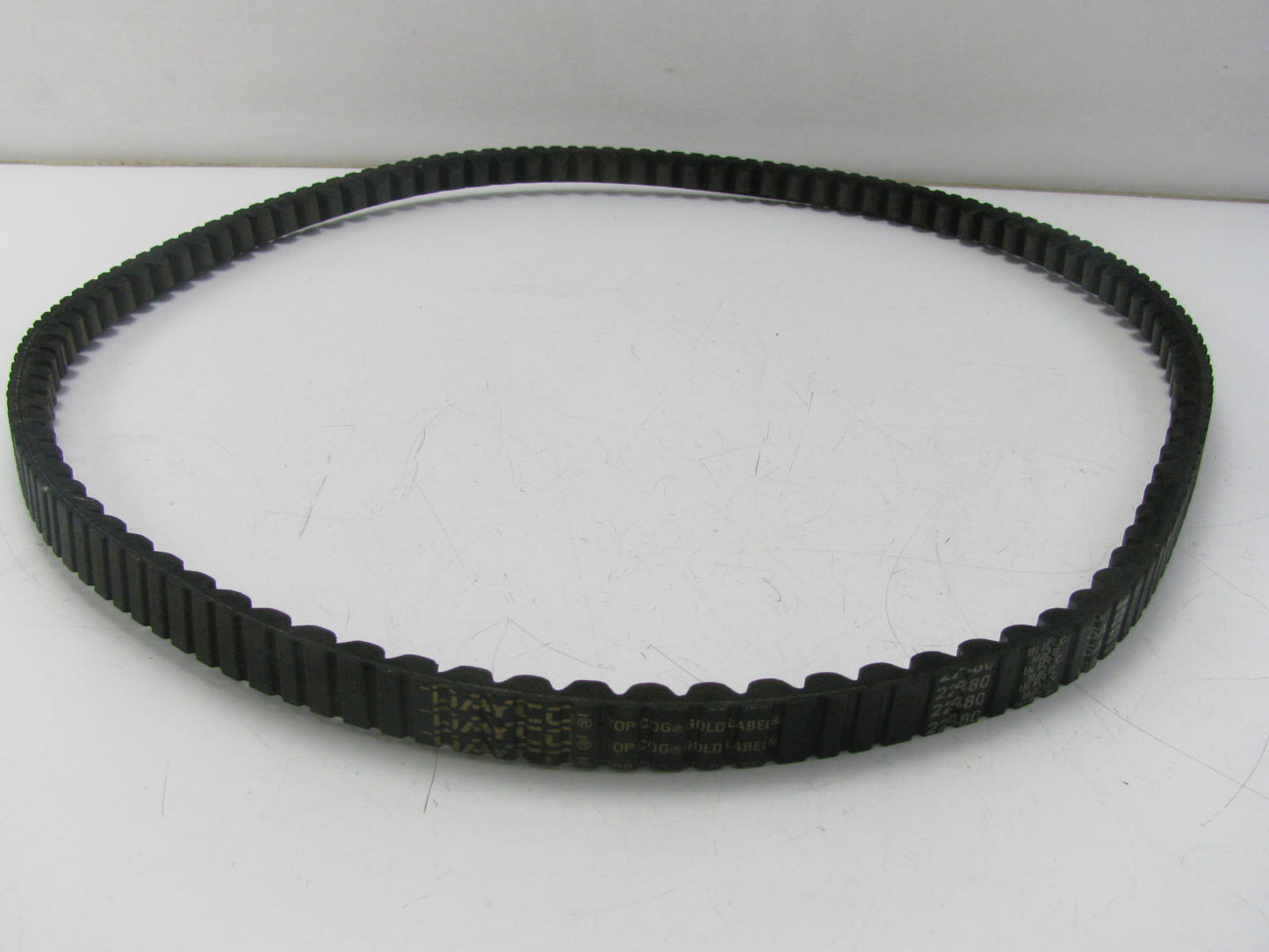 Dayco 22480 Accessory Drive Belt - 0.69'' X 48.25'' - 38 Degree