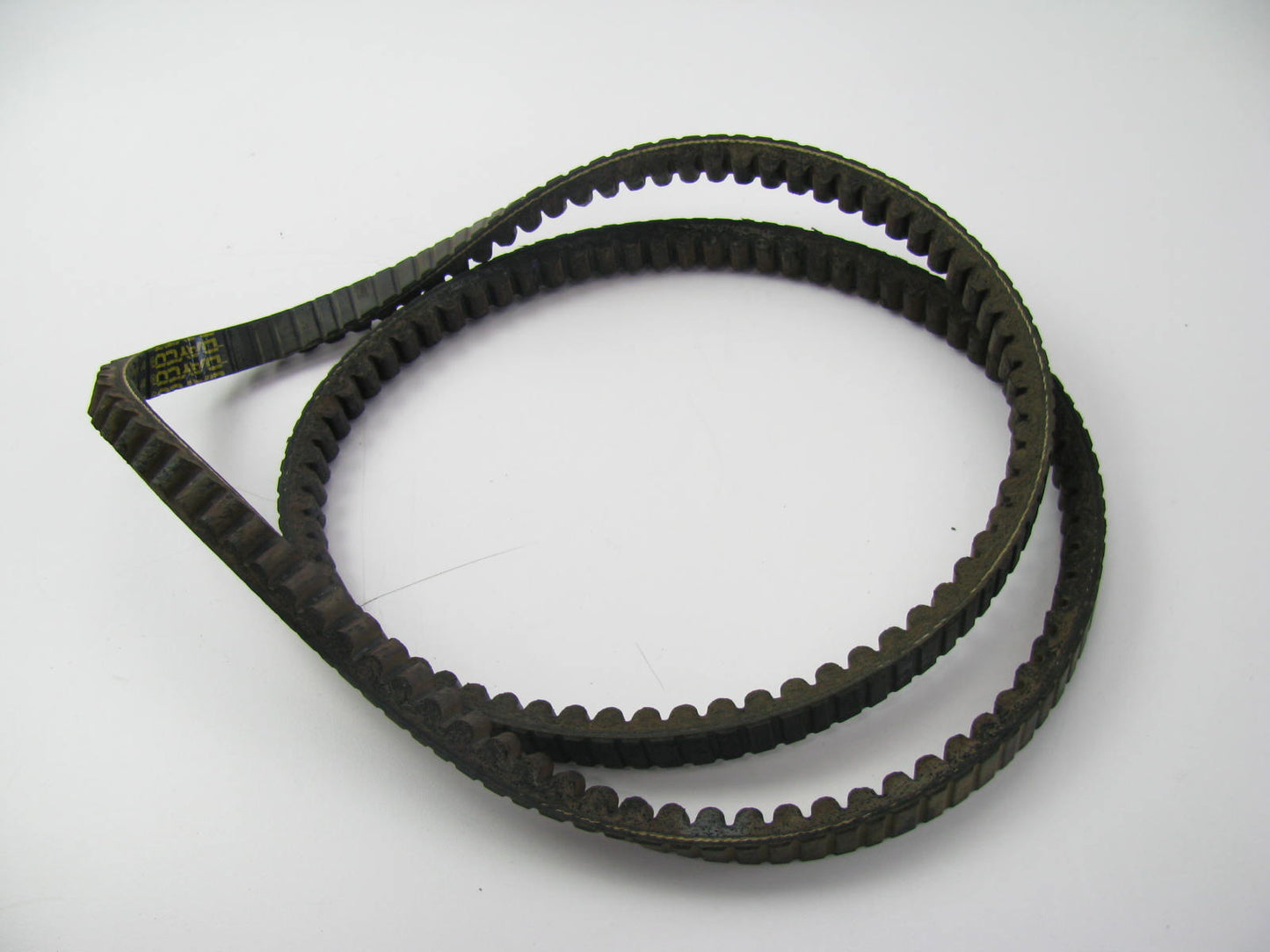 Dayco 22605 Truck & Bus Accessory Drive Belt - 0.69'' X 60.50'' - 38 Degree