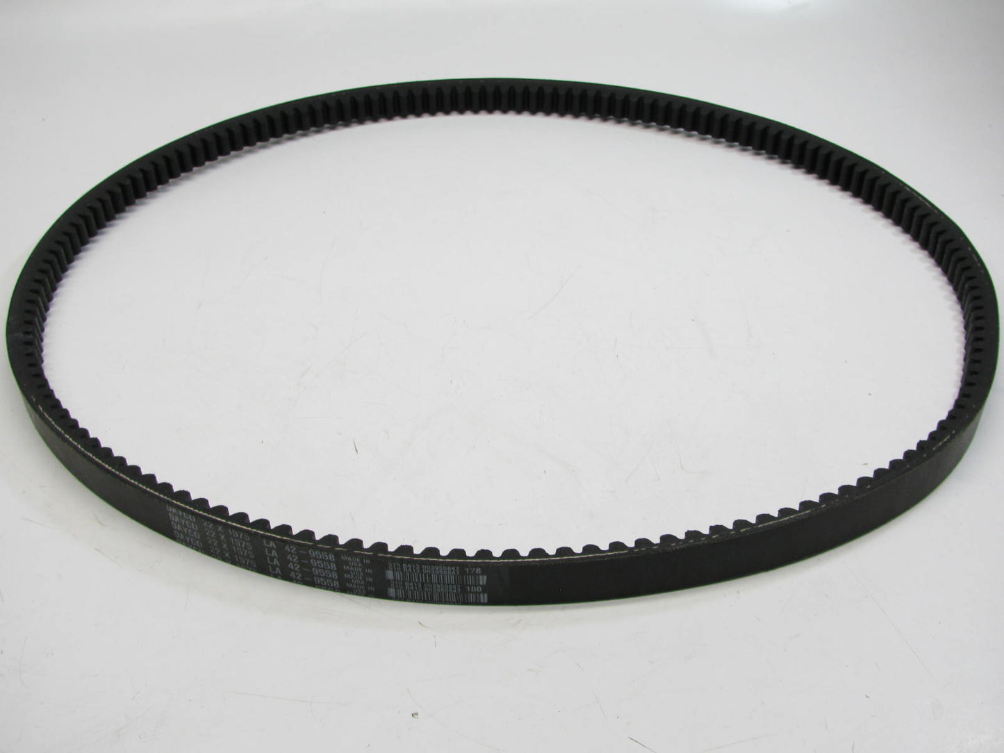 Dayco 22X1575 Industrial Cogged Accessory Drive Belt - 22mm X1575mm