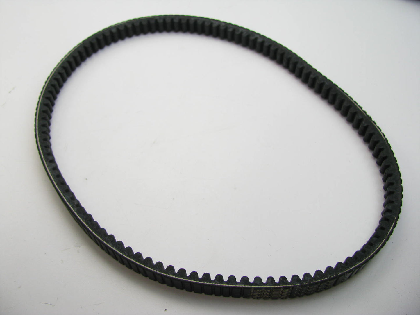 Dayco 28445 Accessory Drive Belt - 0.88'' X 44.50'' - 38 Degree