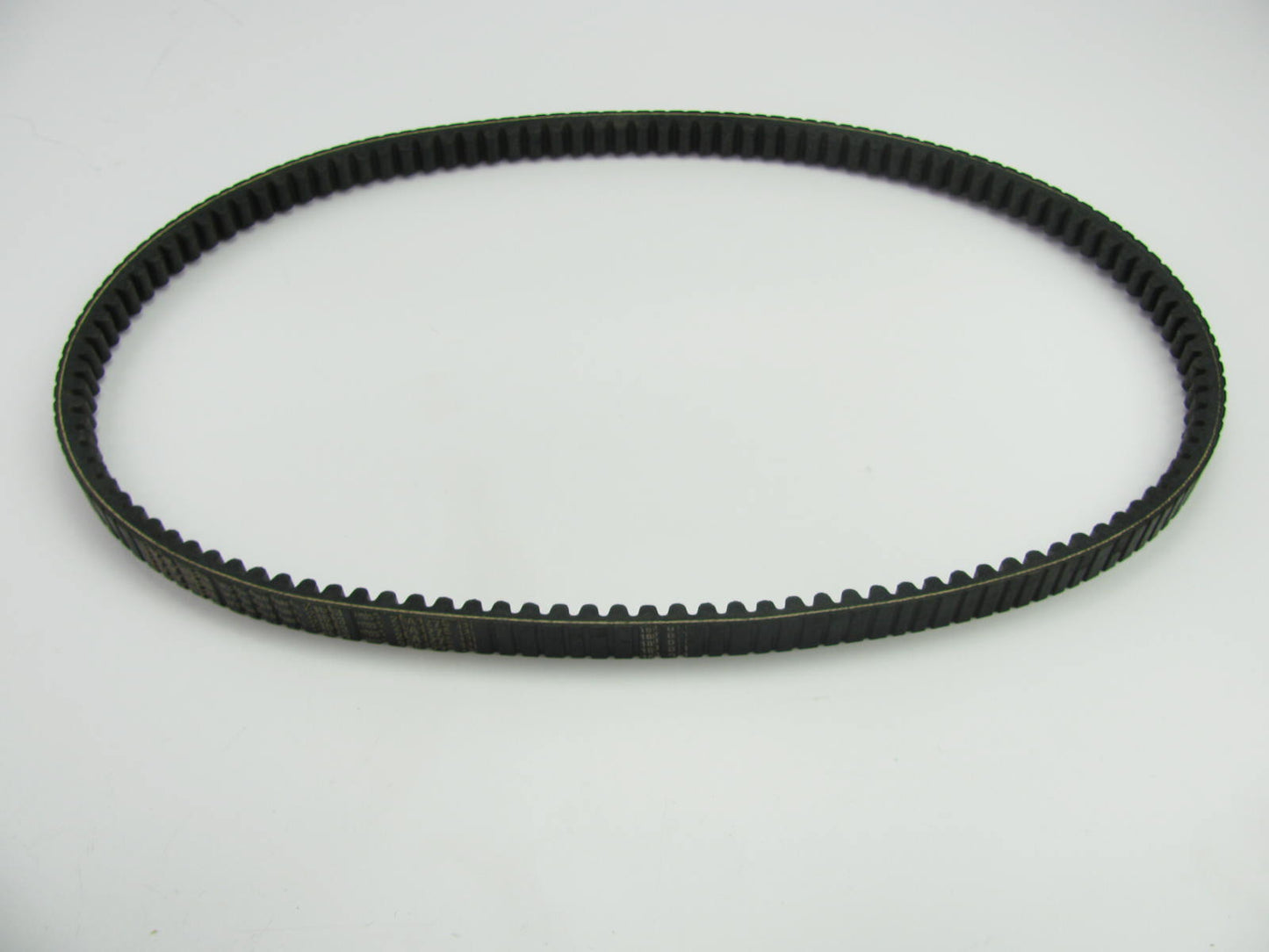 Dayco 28503 Accessory Drive Belt - 0.88'' X 50.25'' - 38 Degree