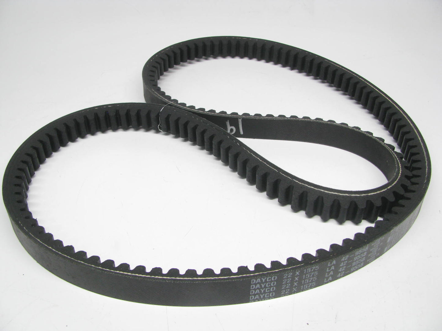 Dayco 42-9558 Industrial Cogged Accessory Drive Belt - 22mm X 1575mm