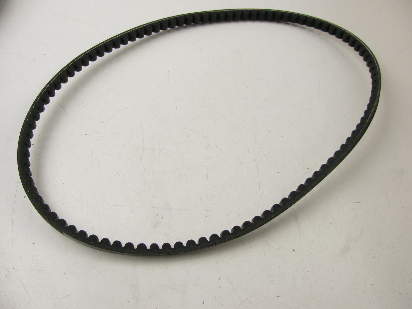 Dayco 425626 / AV13X1010LP Cogged V- Belt