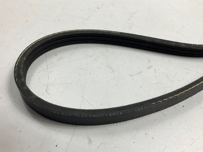Dayco 5030323 Alternator And Water Pump Serpentine Belt