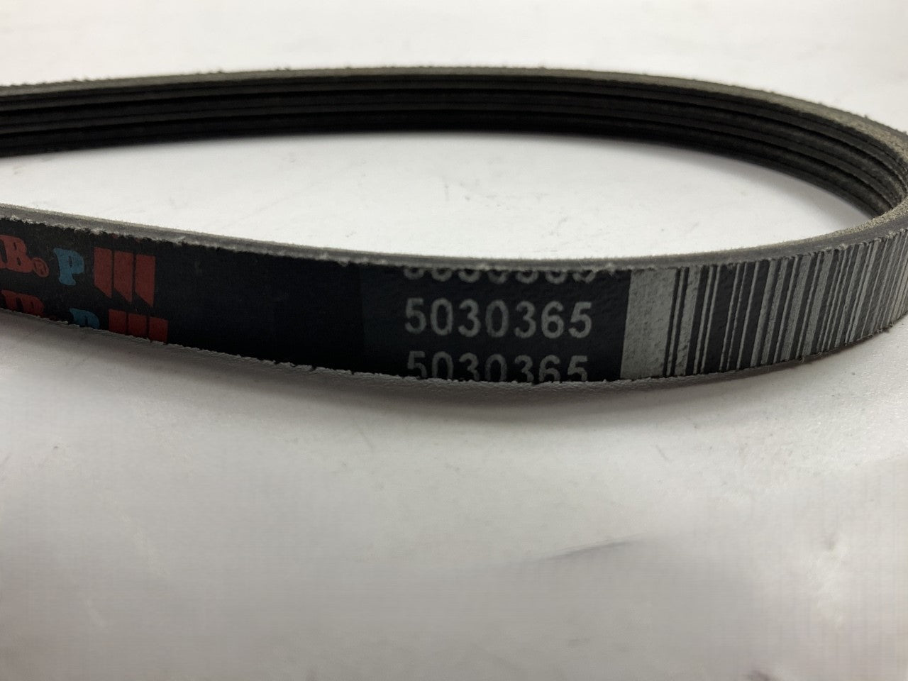 Dayco 5030365 Power Steering Serpentine Belt 93-97 J30, 97-01 Q45, 90-96 300ZX