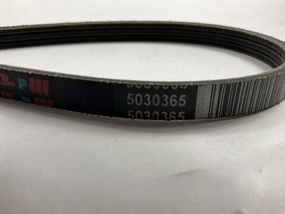Dayco 5030365 Power Steering Serpentine Belt 93-97 J30, 97-01 Q45, 90-96 300ZX