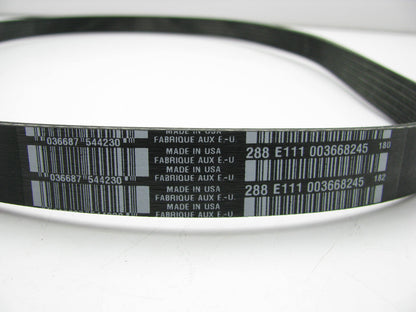 Serpentine Belt Dayco 5060431