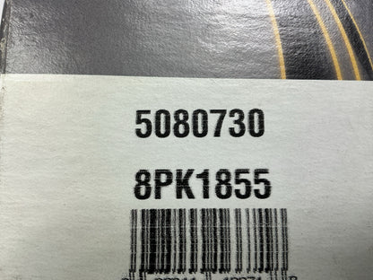 Dayco 5080730 Serpentine Belt 8PK1855, K080730, K080730HD, 8K730