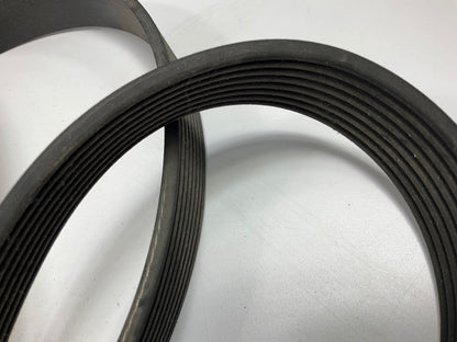 Dayco 5081000 Main Drive Serpentine Belt