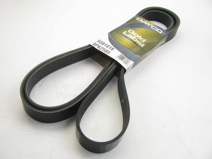 Dayco 5081018 / 8PK2585 Serpentine Drive Belt
