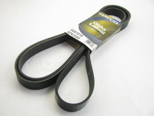 Dayco 5081018 / 8PK2585 Serpentine Drive Belt