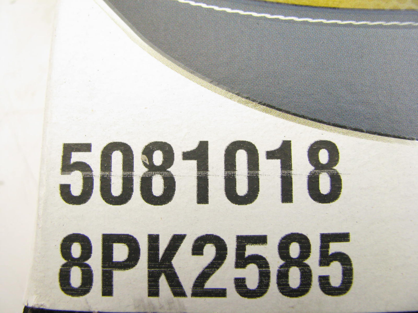 Dayco 5081018 / 8PK2585 Serpentine Drive Belt