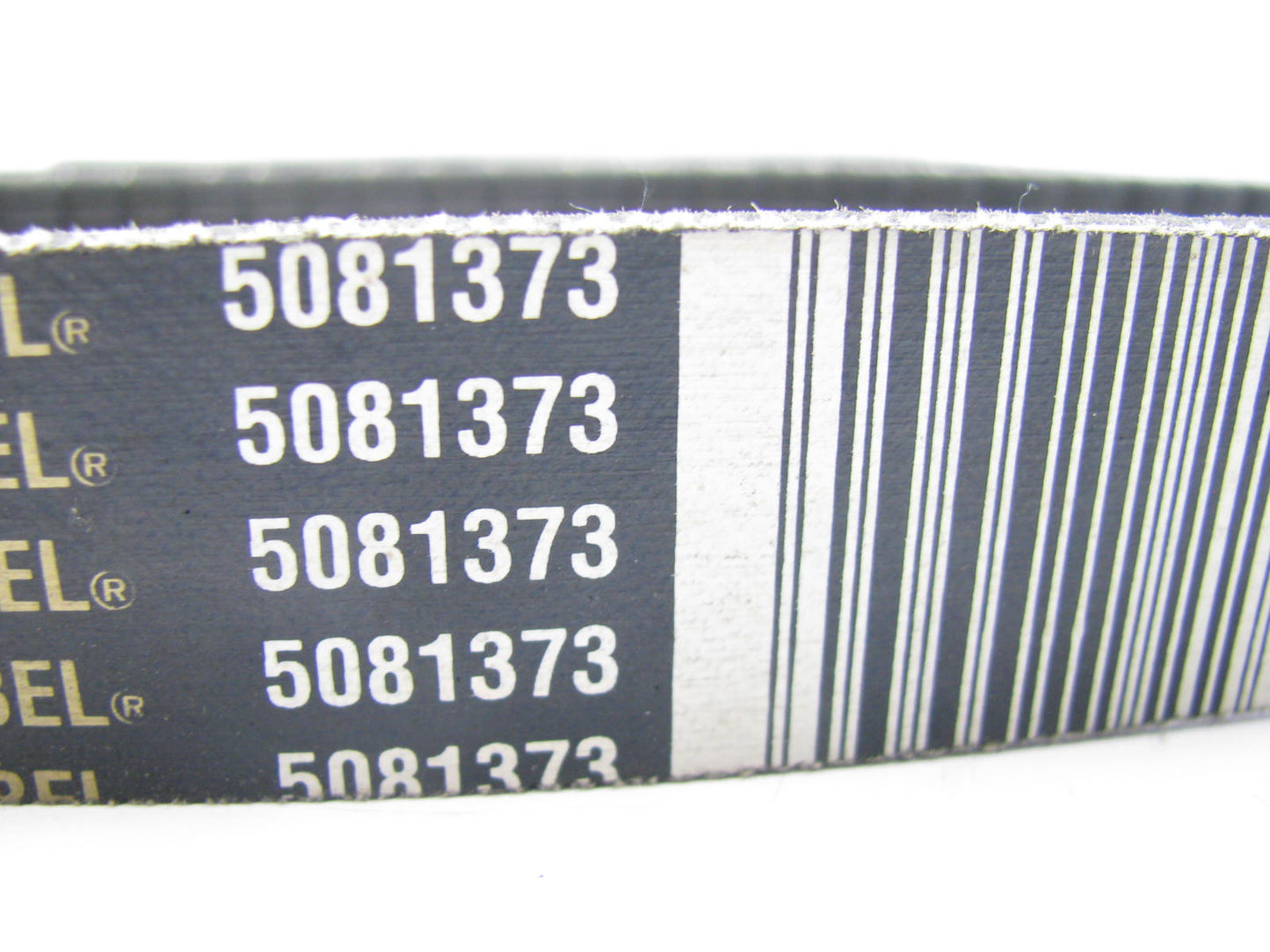 Dayco 5081373 Serpentine Belt - 1.10'' X 137.32'' - 8 Ribs