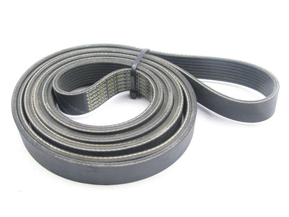 Dayco 5081490 Serpentine Belt - 1.12'' X 149.50'' - 8 Ribs