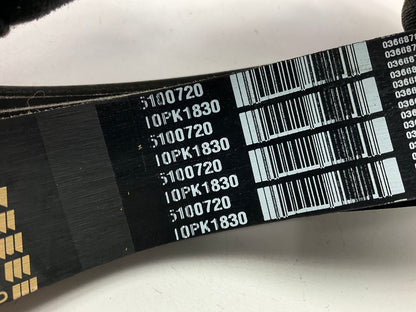 Dayco 5100720 Serpentine Belt - 1.367'' X 72.50'' - 10 Ribs