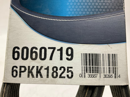 Dayco 6060719 Double Sided Serpentine Belt