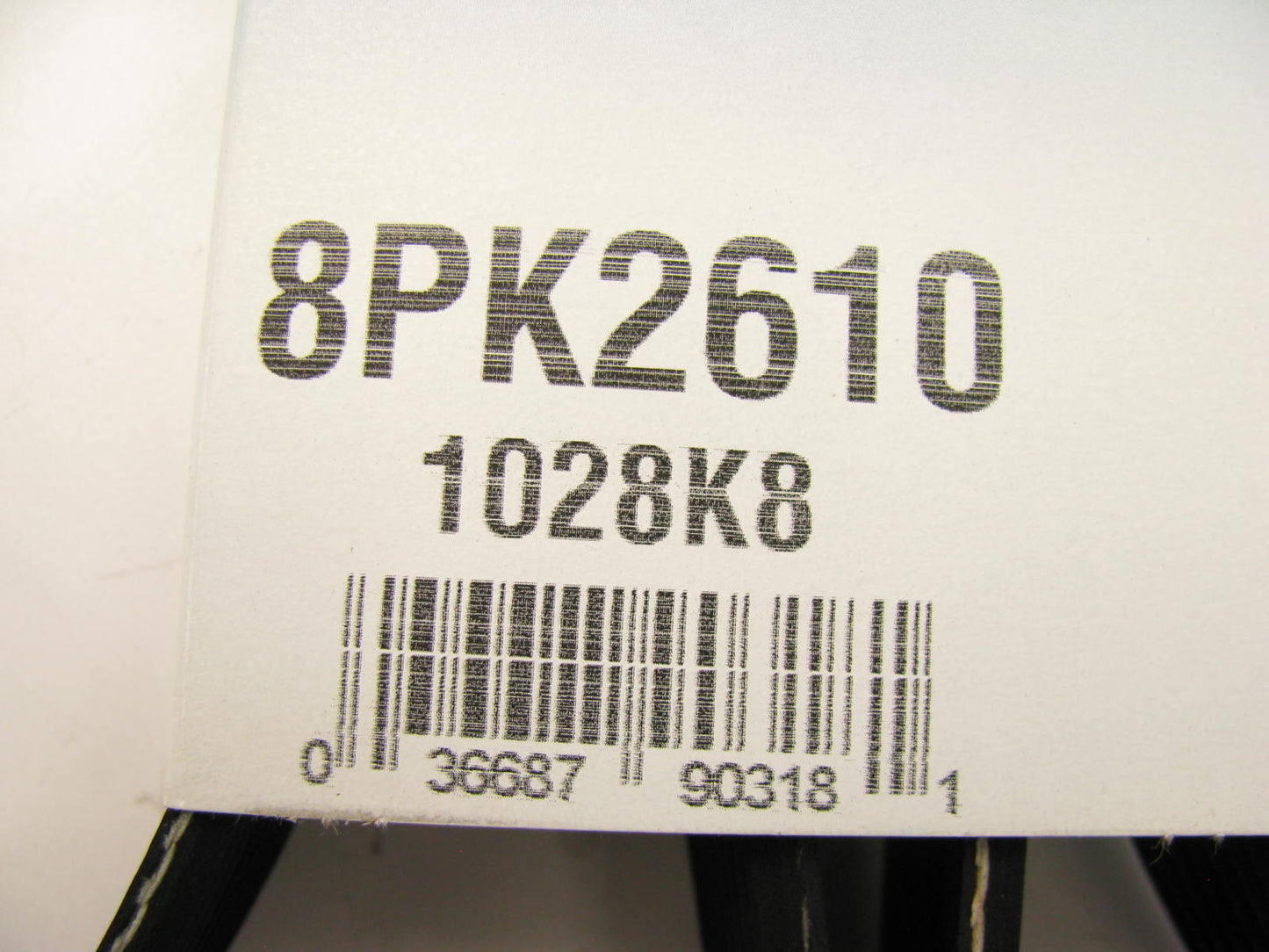 Dayco 8PK2610 Serpentine Belt - 28mm X 2610mm - 8 Ribs