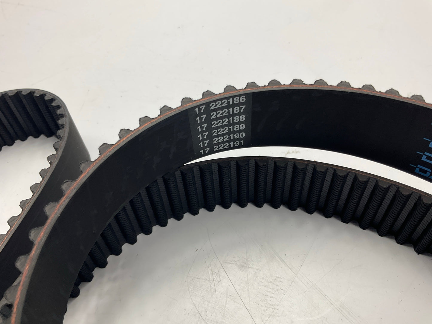 Dayco 95323 Engine Camshaft Timing Belt For Kia 3.5L V6 DOHC