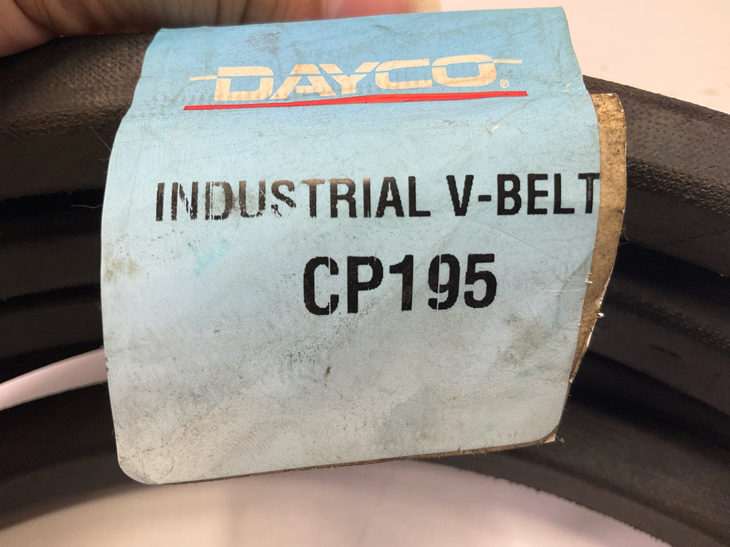 Dayco CP195 Belt 199'' Outside Circumference, 0.875''  7/8'' Wide