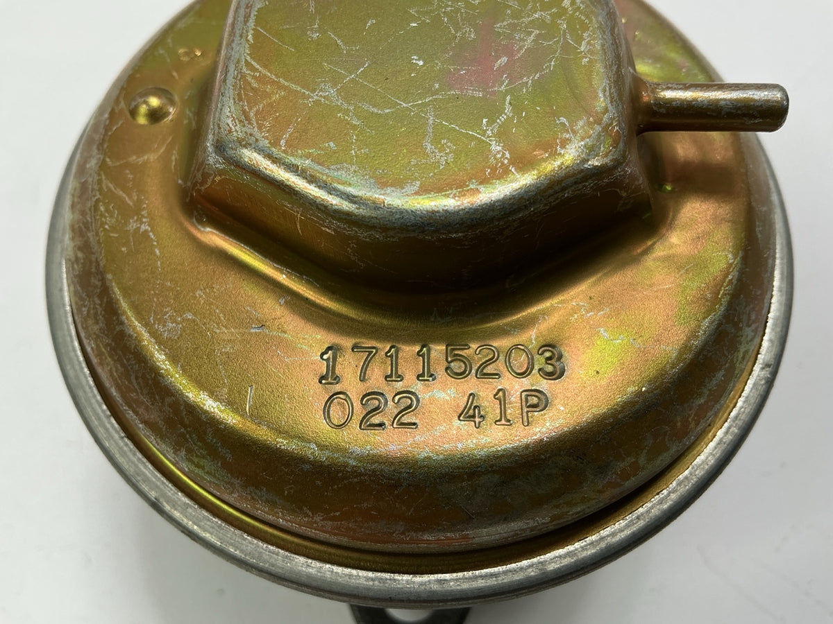 Delphi EG10106 EGR Valve OEM GM 17115203