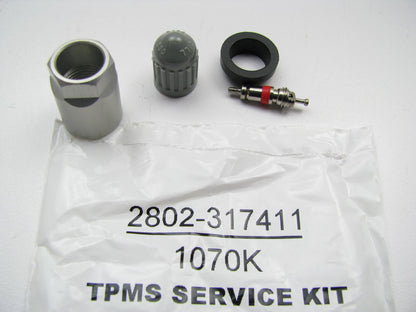 Dill 2802-317411 TPMS Sensor Service Hardware Installation Kit