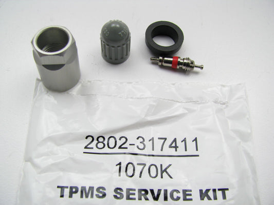 Dill 2802-317411 TPMS Sensor Service Hardware Installation Kit