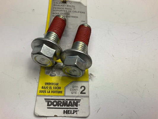 Dorman 14006 Front Disc Brake Caliper Bracket Mounting Bolts, Pair