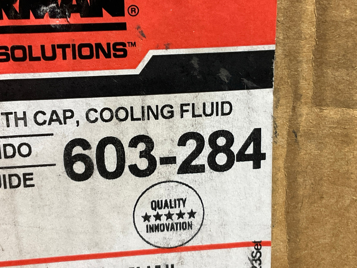 MISSING CAP Dorman 603-284 Engine Coolant Reservoir Tank