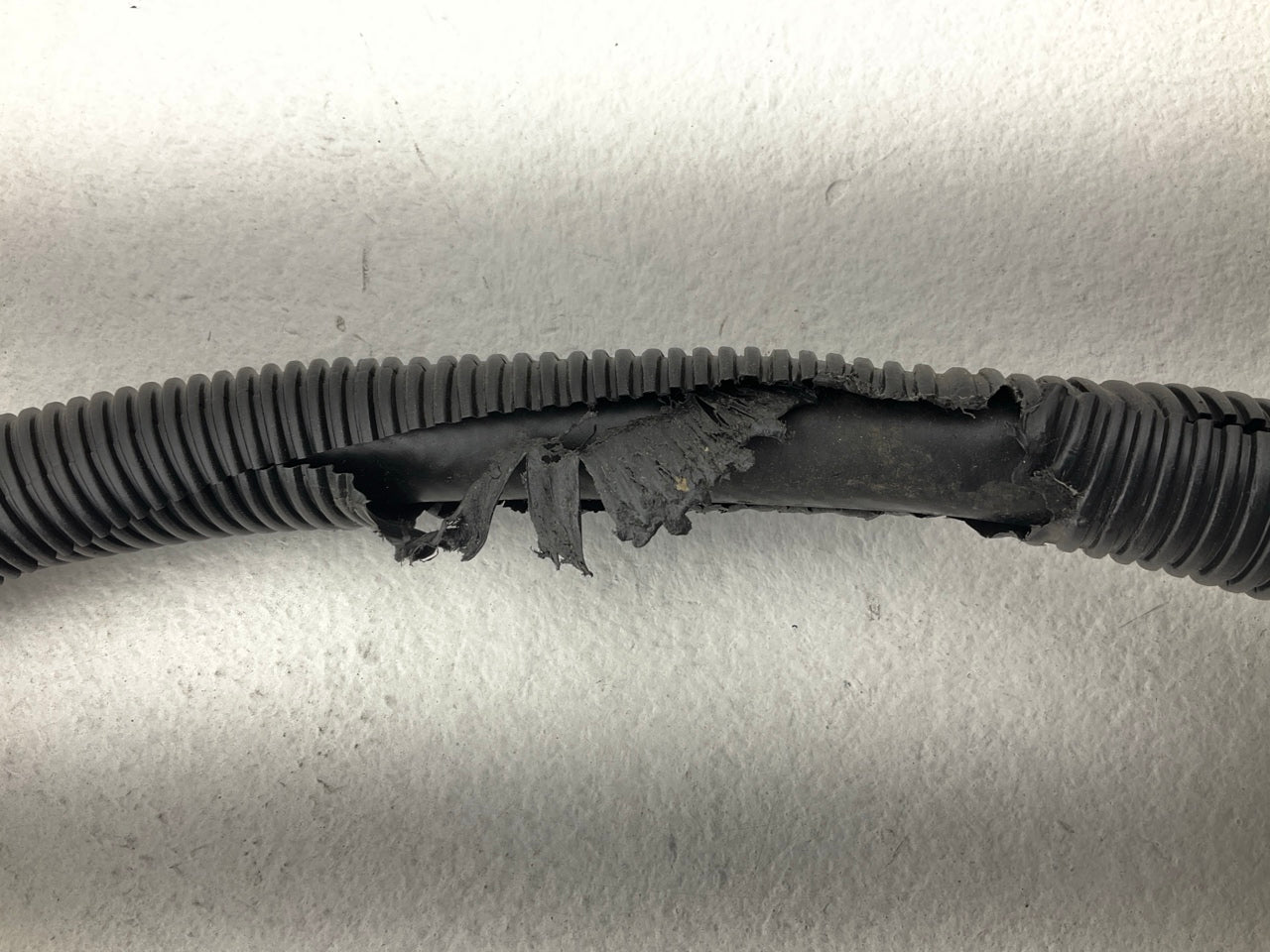 DAMAGED INSULATION - Dorman 625-135 Engine Oil Cooler Hose Assembly