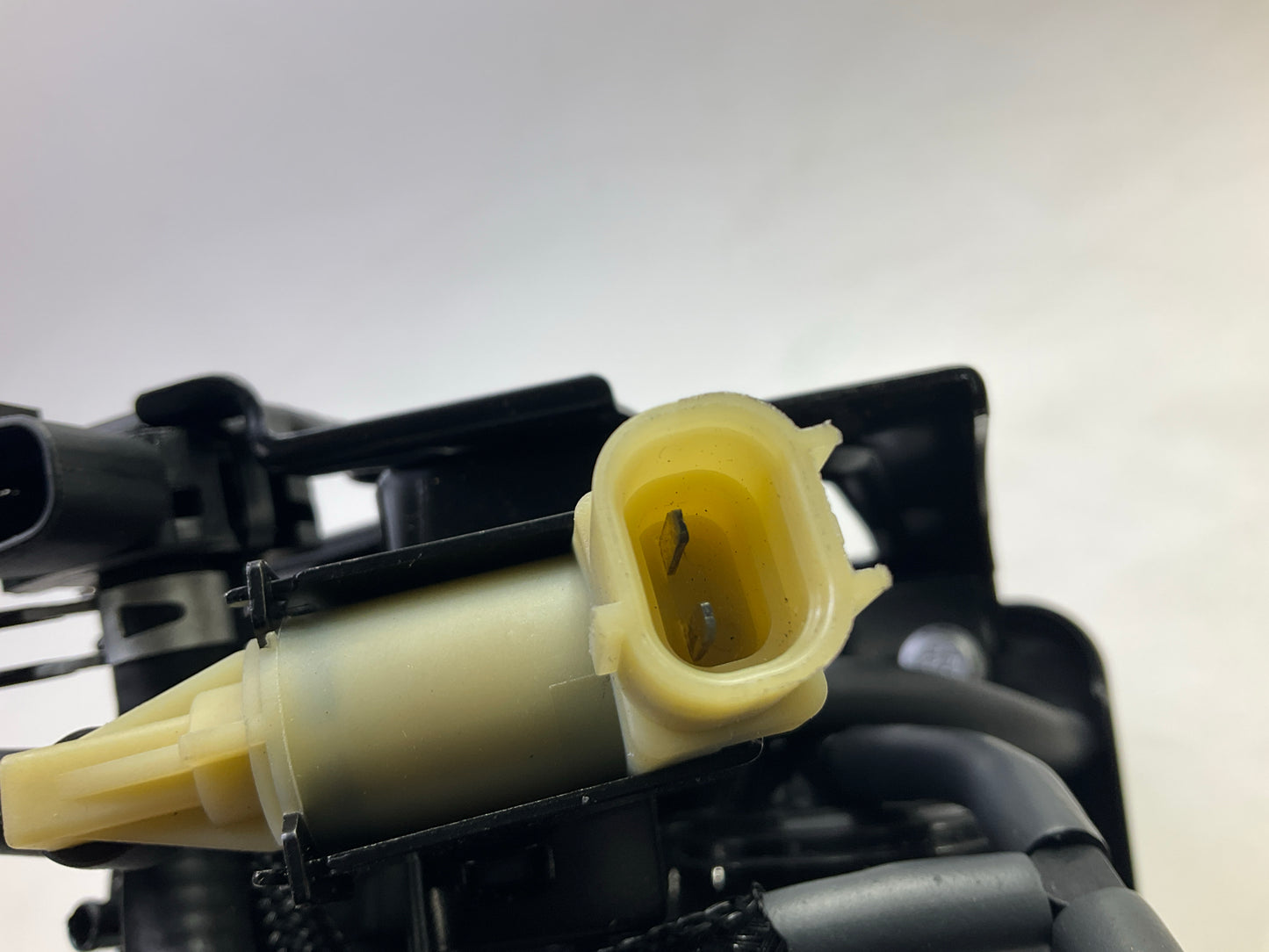 Dorman 911-636 Charcoal Fuel Vapor Canister 2000-2002 Prizm, Corolla