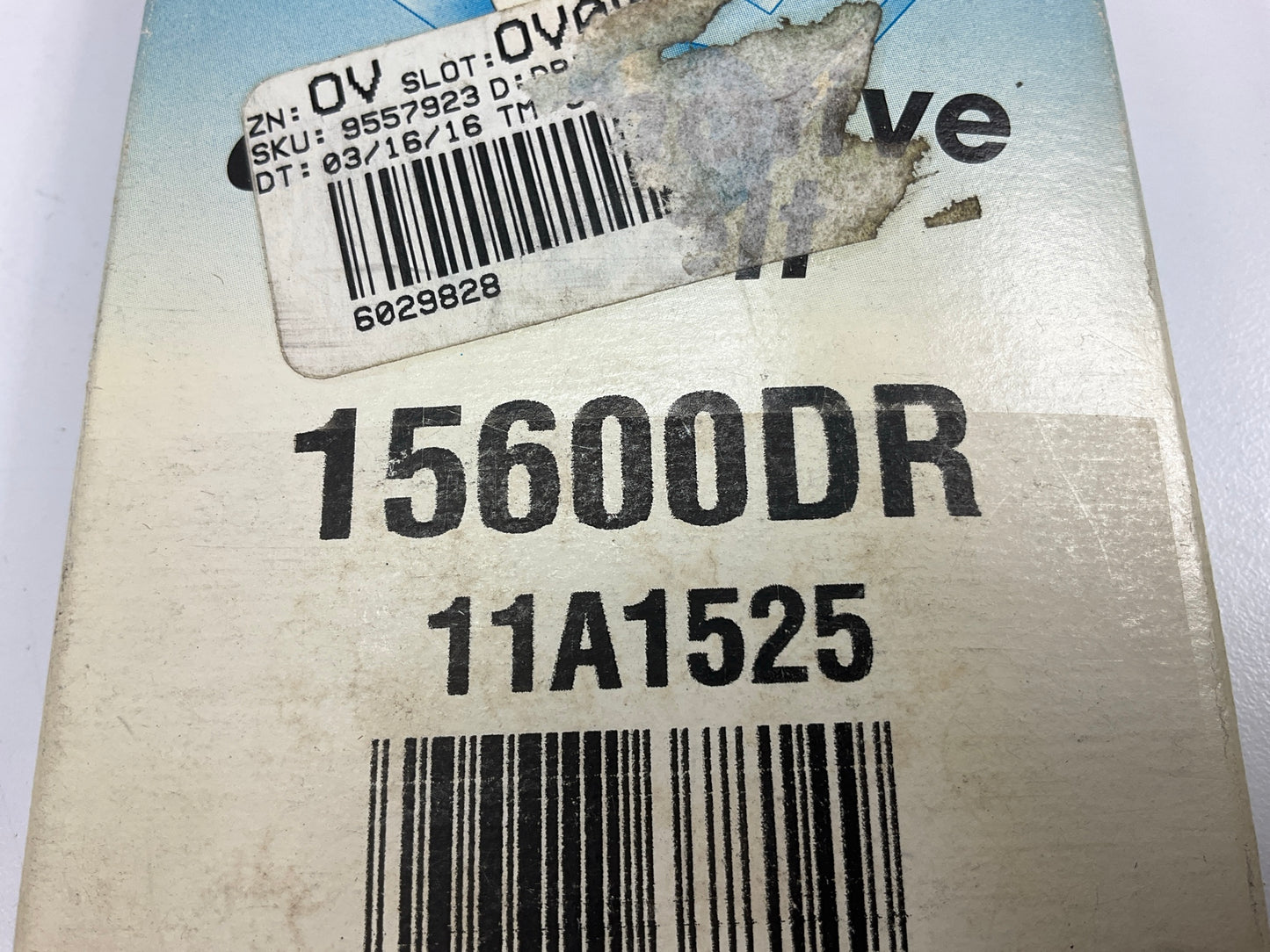 Drive-rite 15600DR Accessory Drive Belt