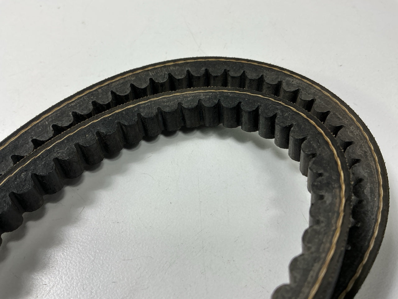 Drive-Rite 17555DR Accessory Drive Cogged Belt - 1/2'' X 55-7/8''