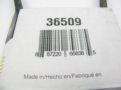 Drive Works 36509 Accessory Drive Belt - 0.28'' X 36.50'' - 36 Degree