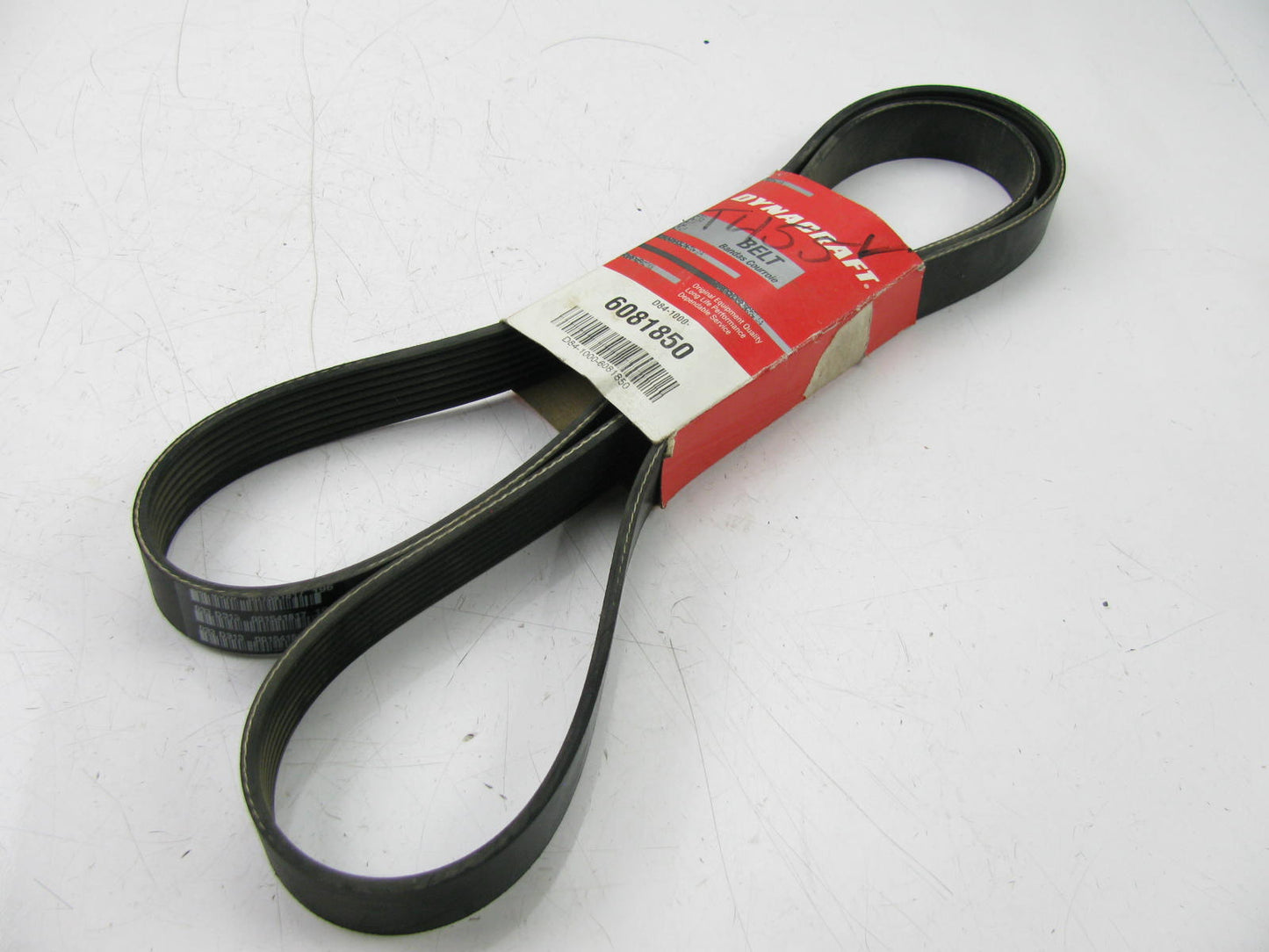 Dynacraft D84-1000-6081850 Serpentine Belt