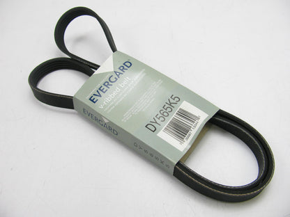 Evergard DY565K5 Serpentine Belt