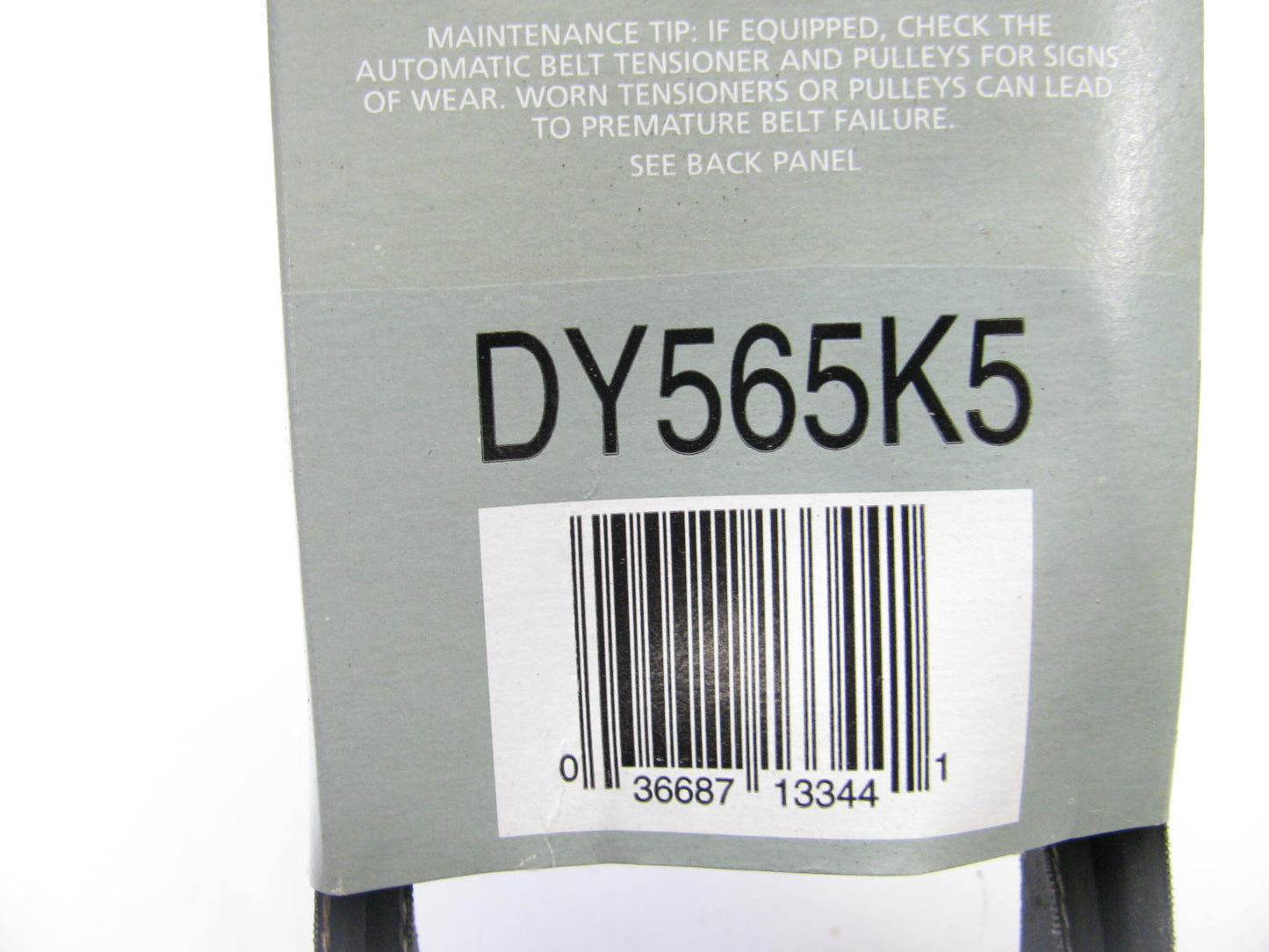 Evergard DY565K5 Serpentine Belt