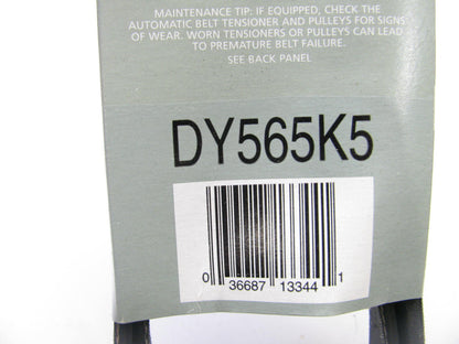 Evergard DY565K5 Serpentine Belt